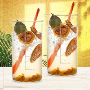 Peg Measure Glass Cocktail - Juice - Beer - Mocktail 250ml Pack of 2